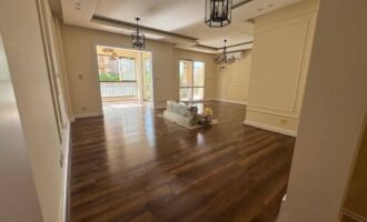 FB_IMG_1735026945008