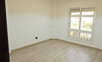 FB_IMG_1735036931746