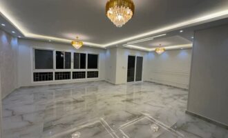 FB_IMG_1735176812230