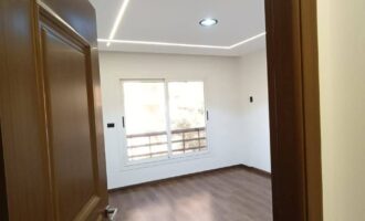 FB_IMG_1735272546795